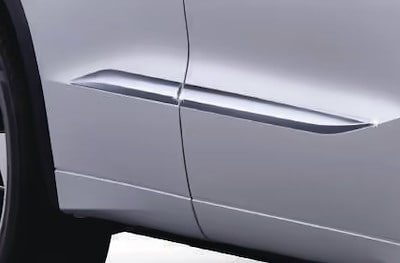 Moldura de protección lateral