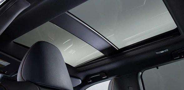 QUEMACOCOS PANORÁMICO ELÉCTRICO