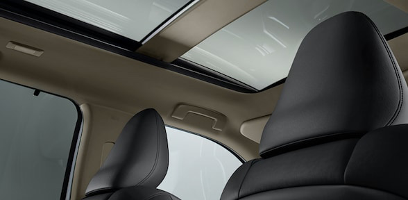 QUEMACOCOS ELÉCTRICO PANORÁMICO